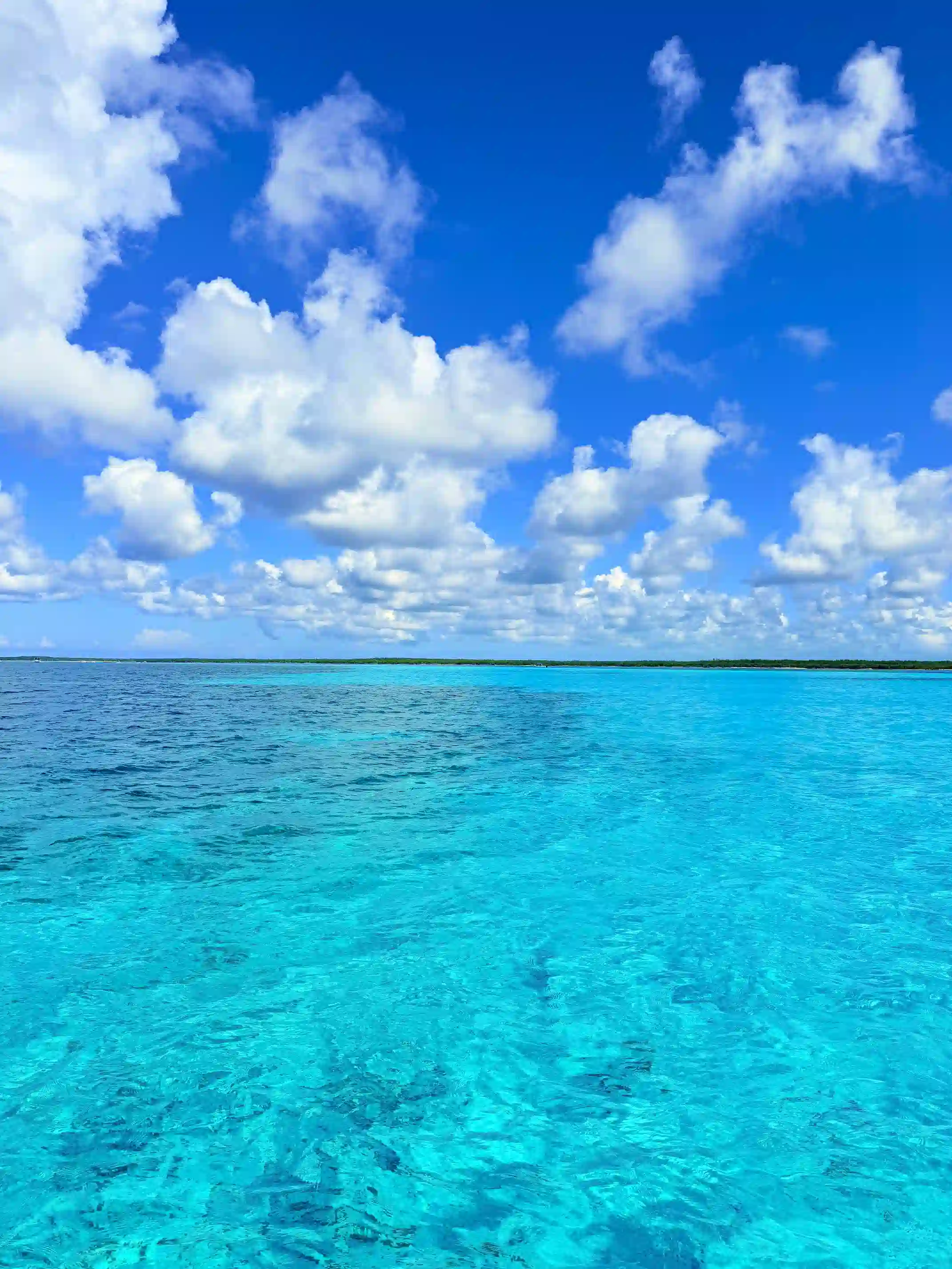 Mer turquoise à Cozumel