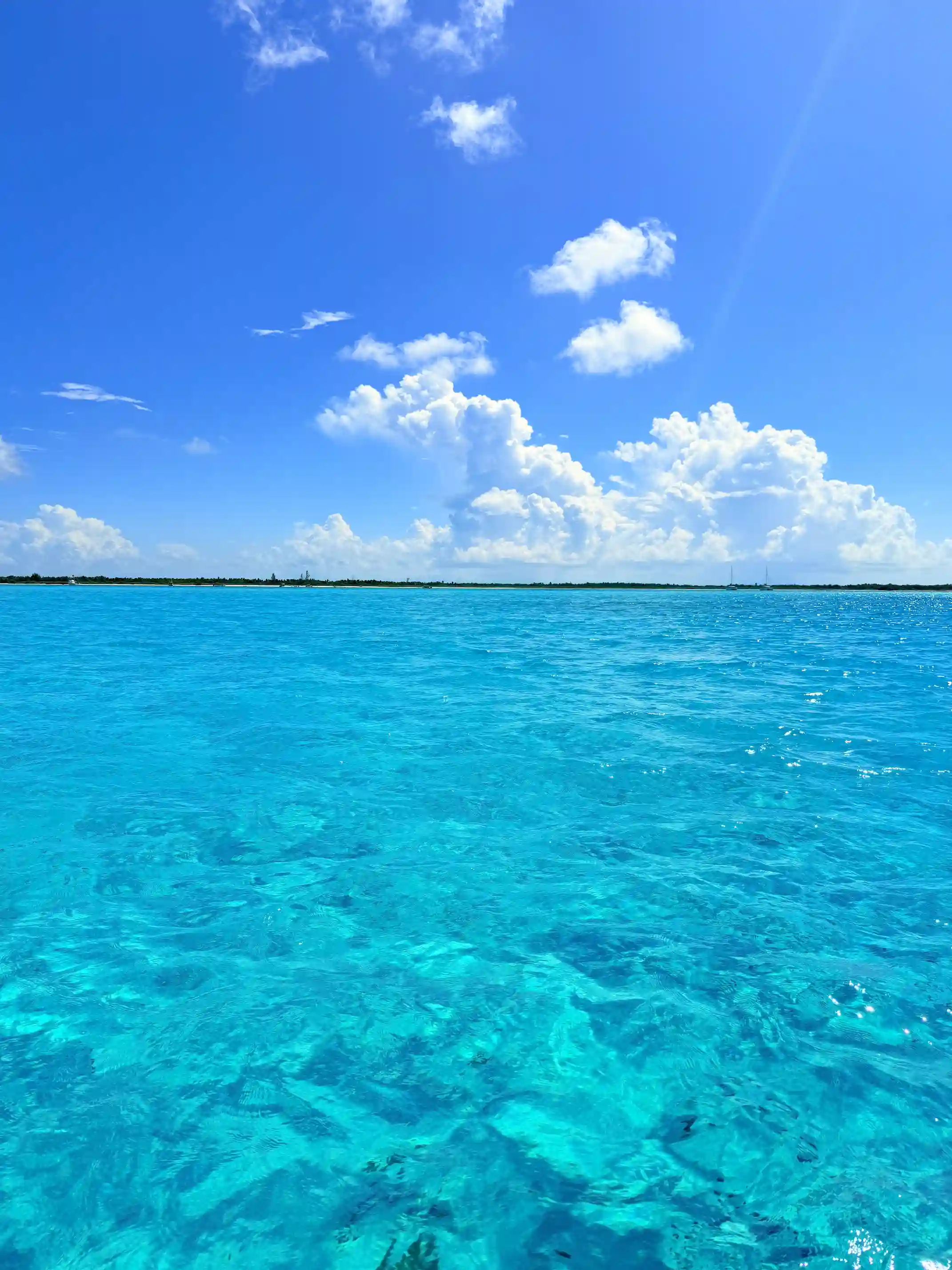 Mer d'un bleu parfaitement turquoise, transparente