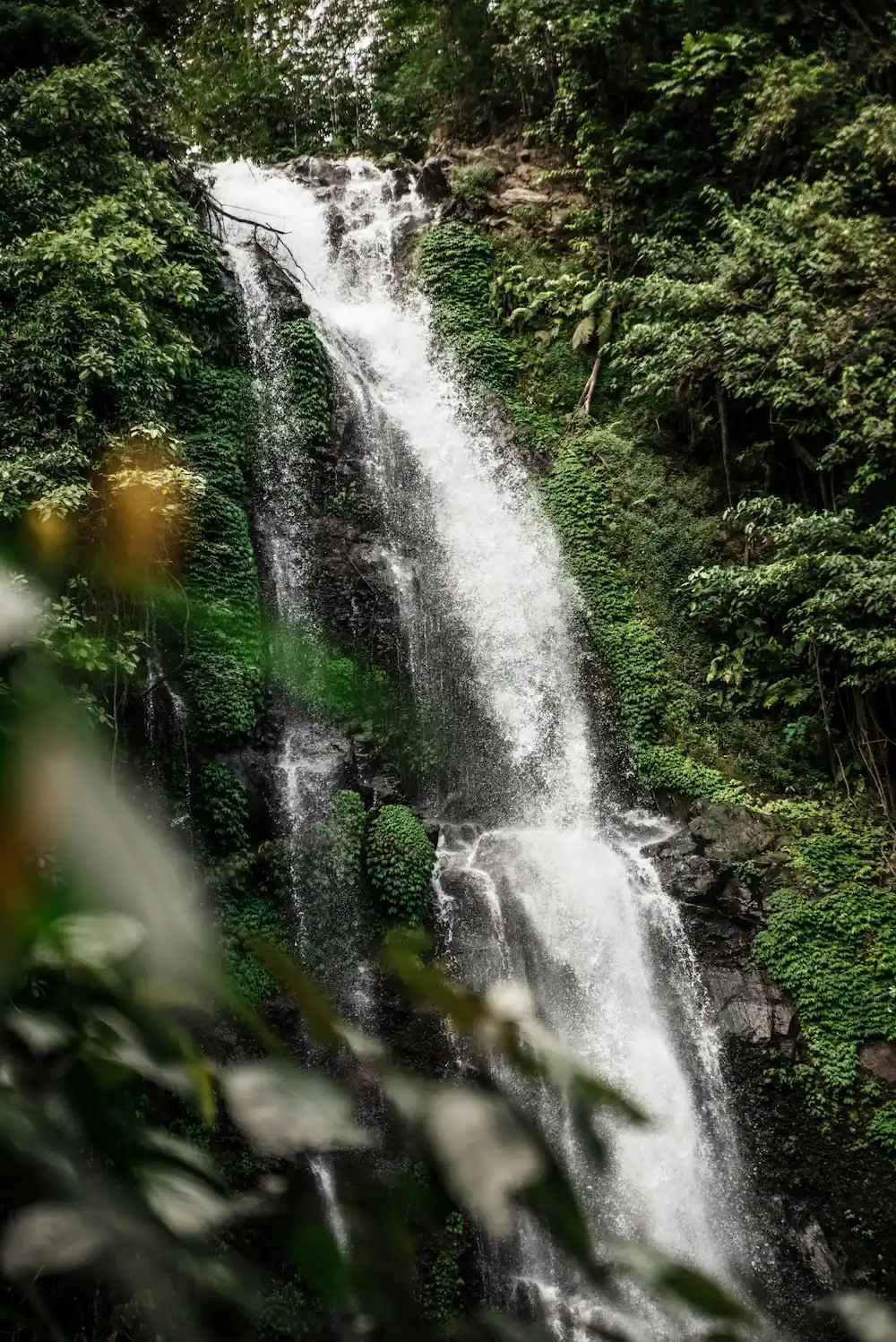 Cascades en pleine forêt près de Munduk à Bali