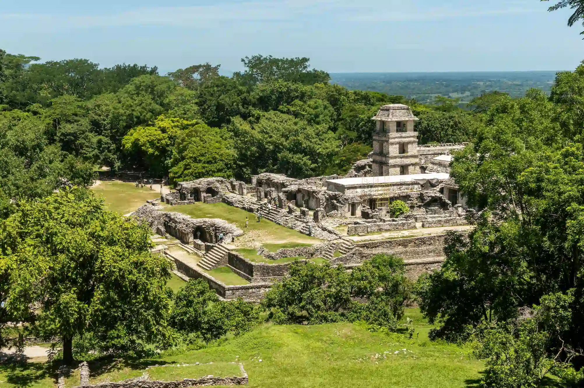 Ruines de Palenque au milieu de la jungle de la région de Chiapas