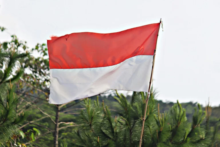 Drapeau rouge et blanc d'indonesie devant une jungle florissante