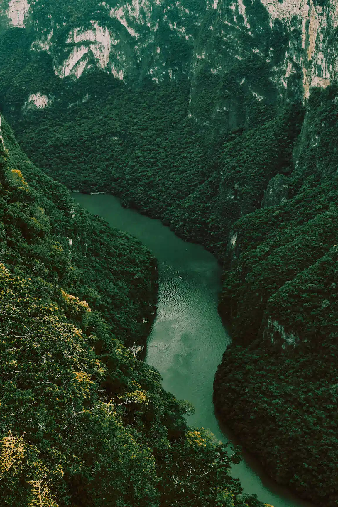 Sumidero Canyon à Chiapas au Mexique