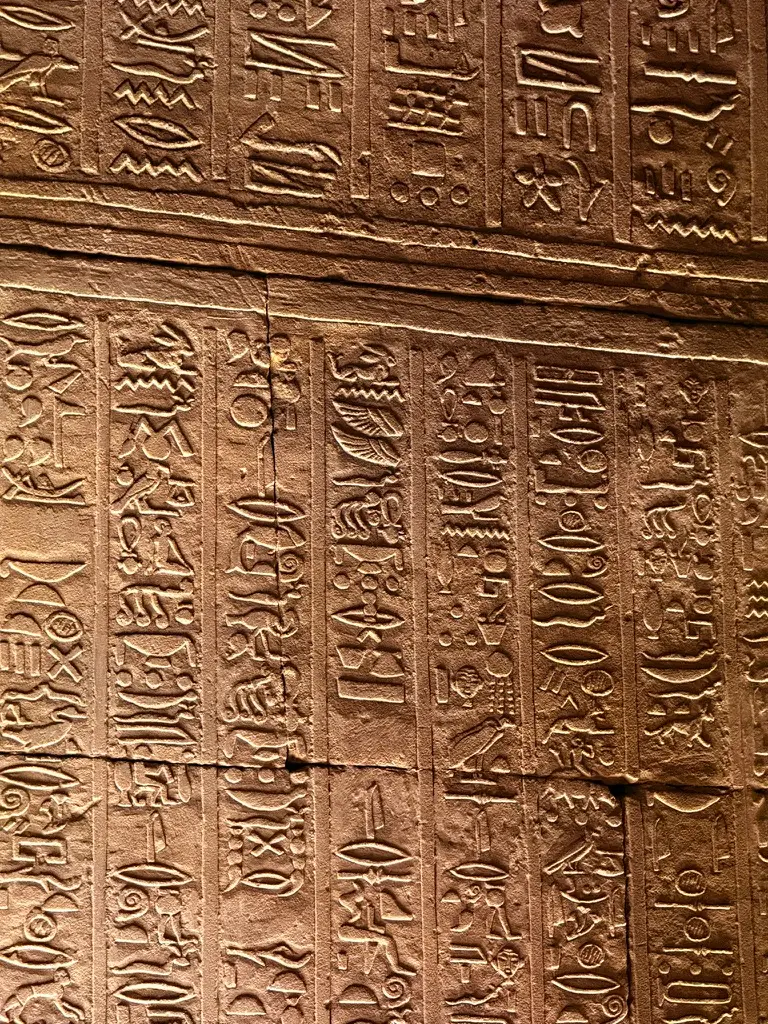 Mur entier recouvert de hieroglyphes parfaitement conservés