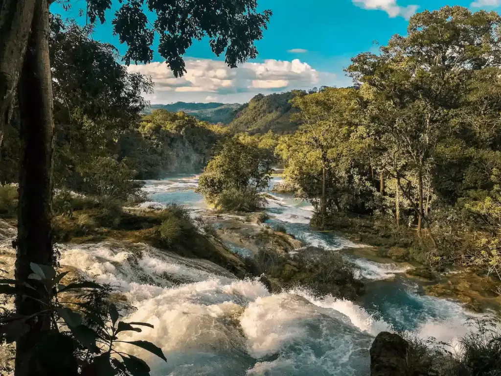 Paysage naturel de Chiapas, cascades et forêt