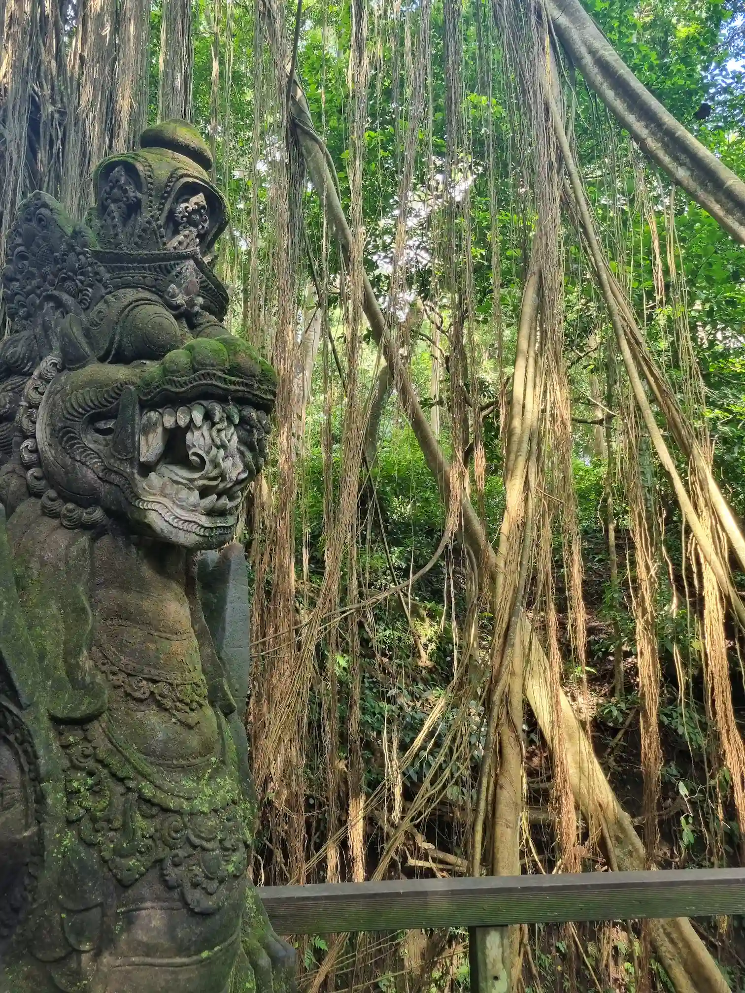 Végétation de la Monkey Forest avec une statue en premier plan