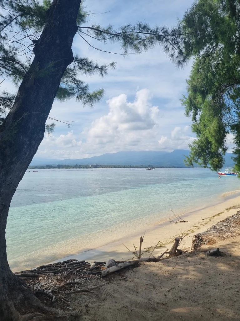 Arbre au premier plan devant une plage paradisiaque de sable blanc