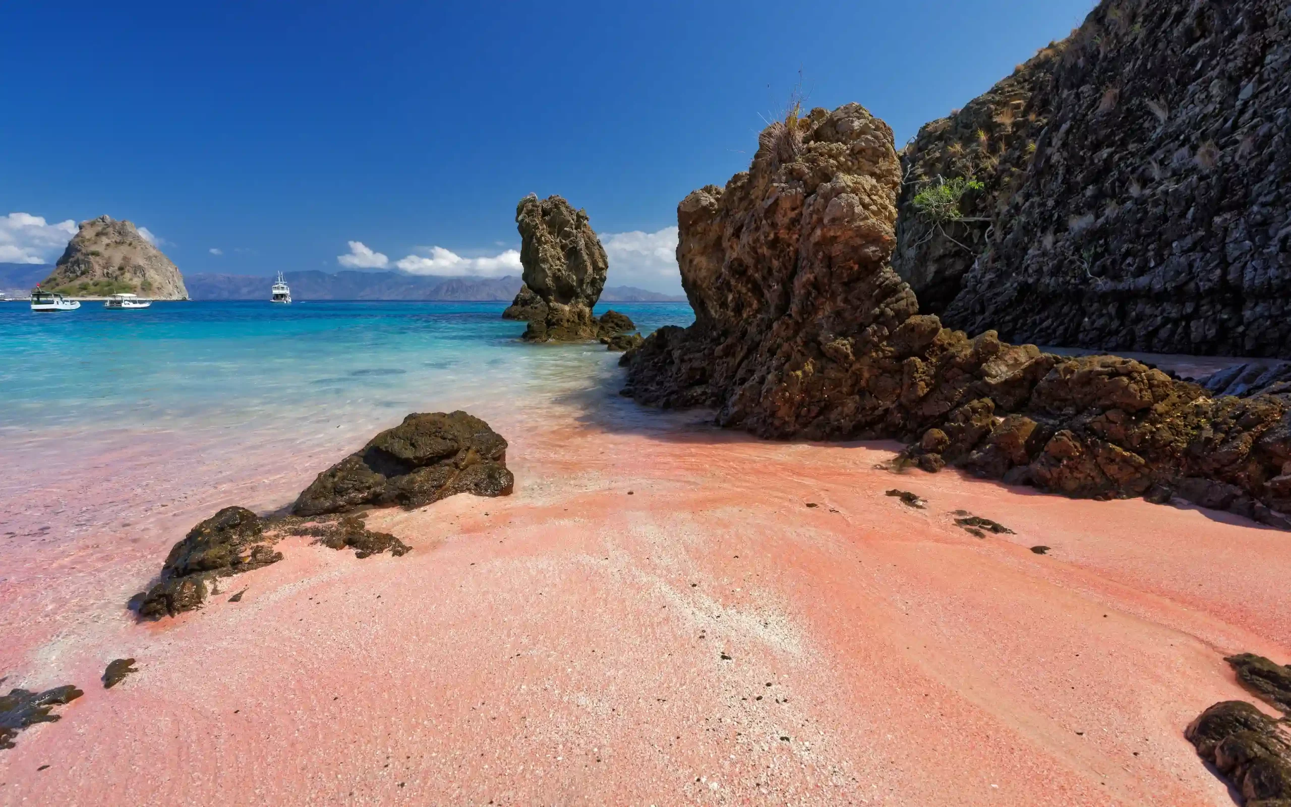 Plage de sable rose à Flores en Indonésie