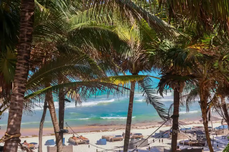 Plage de tulum avec un beach club visible