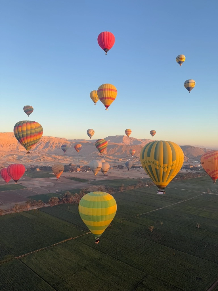 Pleins de montgolfieres s'élevant au lever du soleil