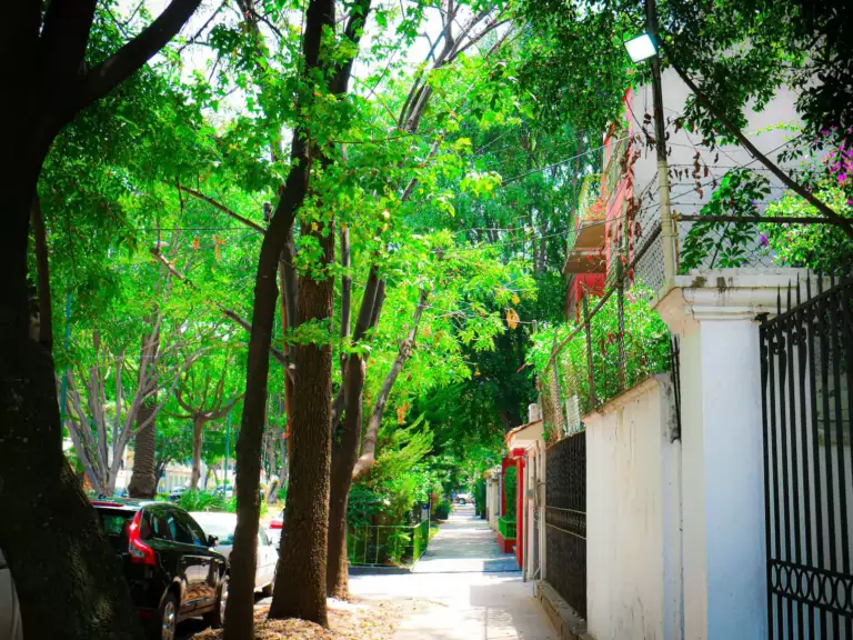 Quartier de Polanco à Mexico