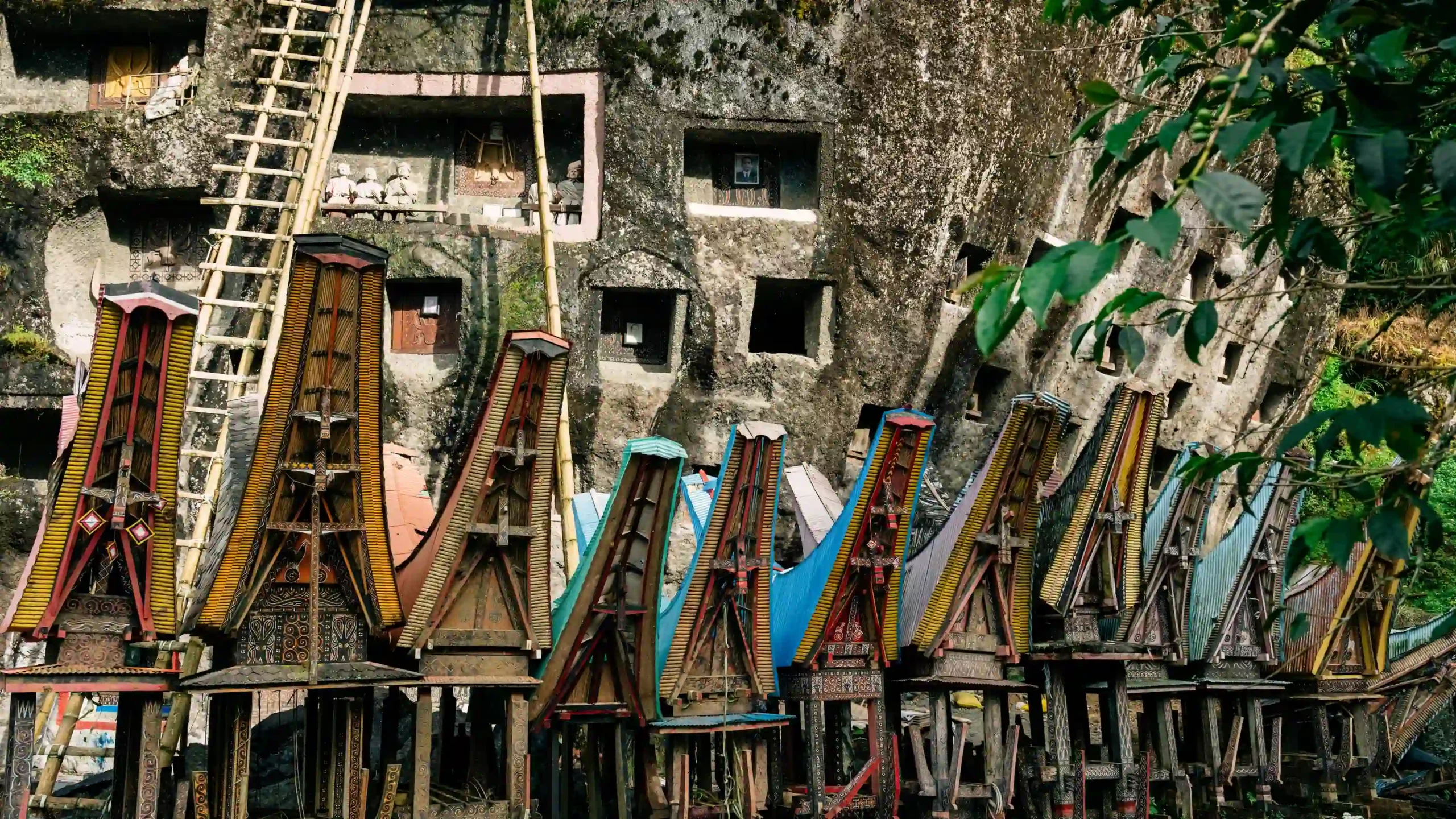 Tau-Tau devant la falaise, indiquant les rites funéraires de Toraja à Sulawesi en Indonesié