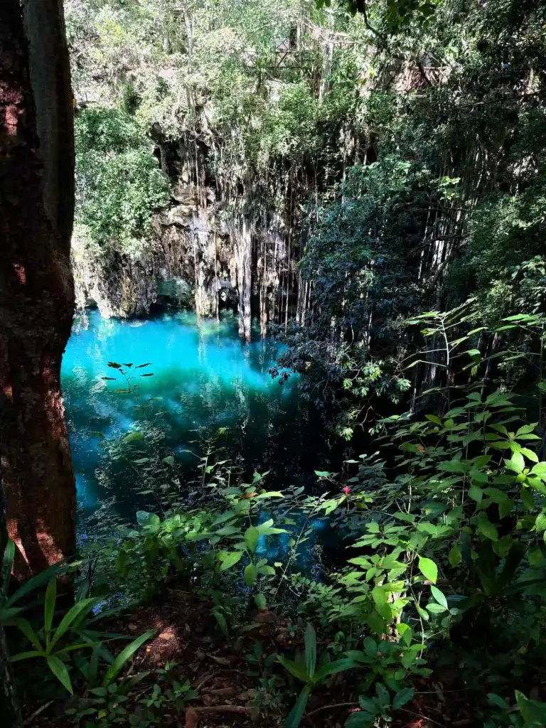 Cenote vue depuis la jungle au mexique