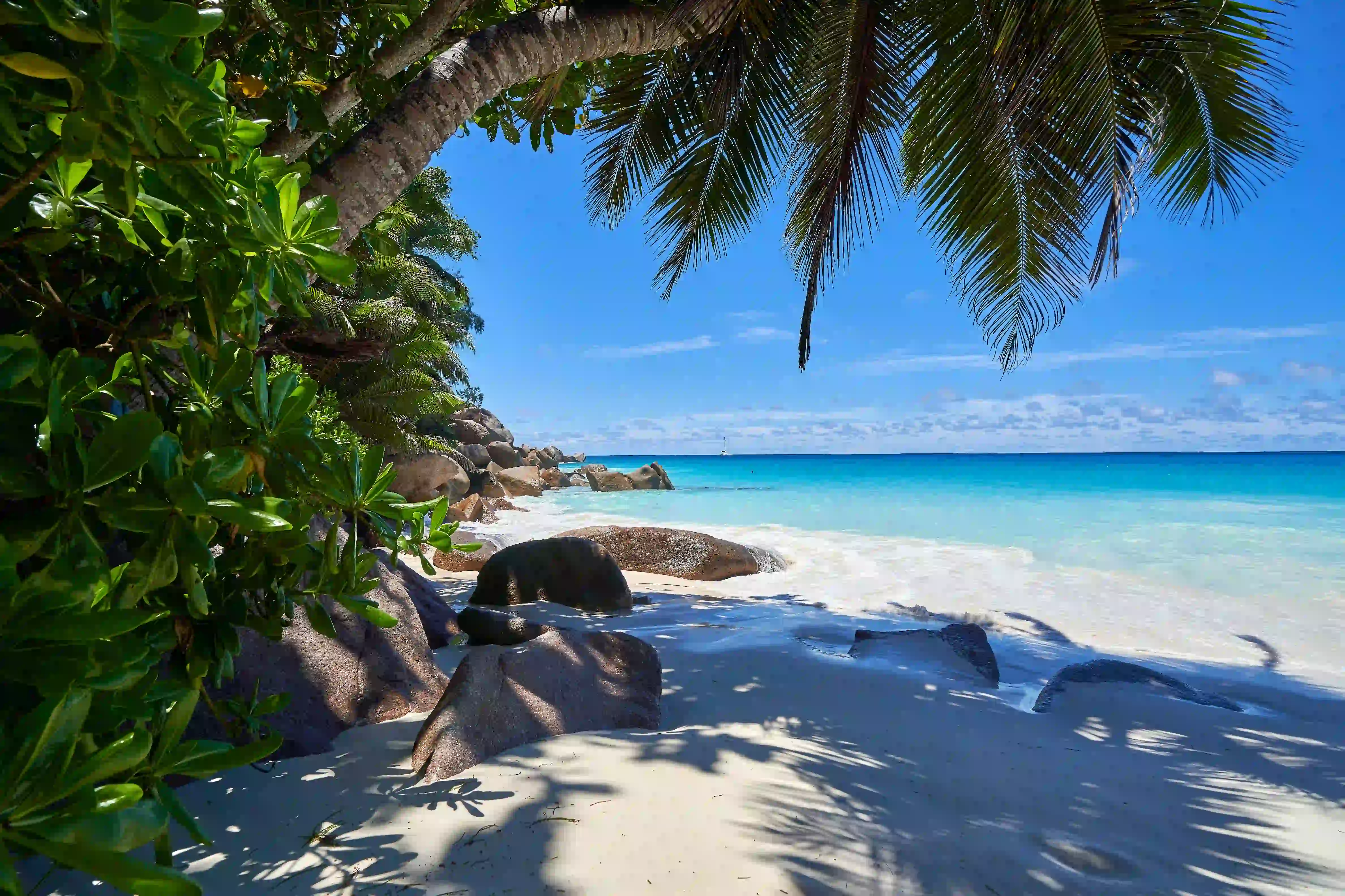 Plage paradisiaque aux seychelles