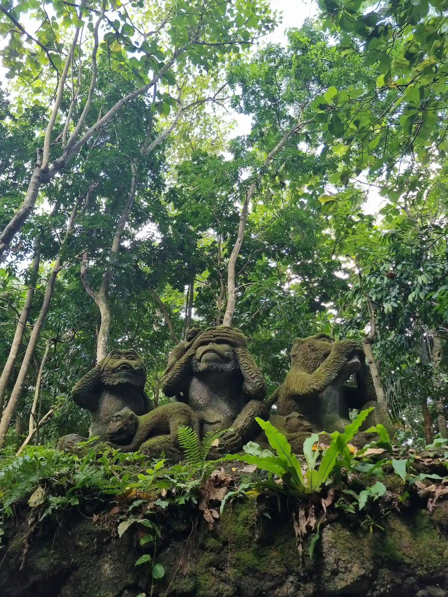 Les trois statues des singes de la sagesse à la Monkey Forest d'Ubud, dans une jungle luxuriante