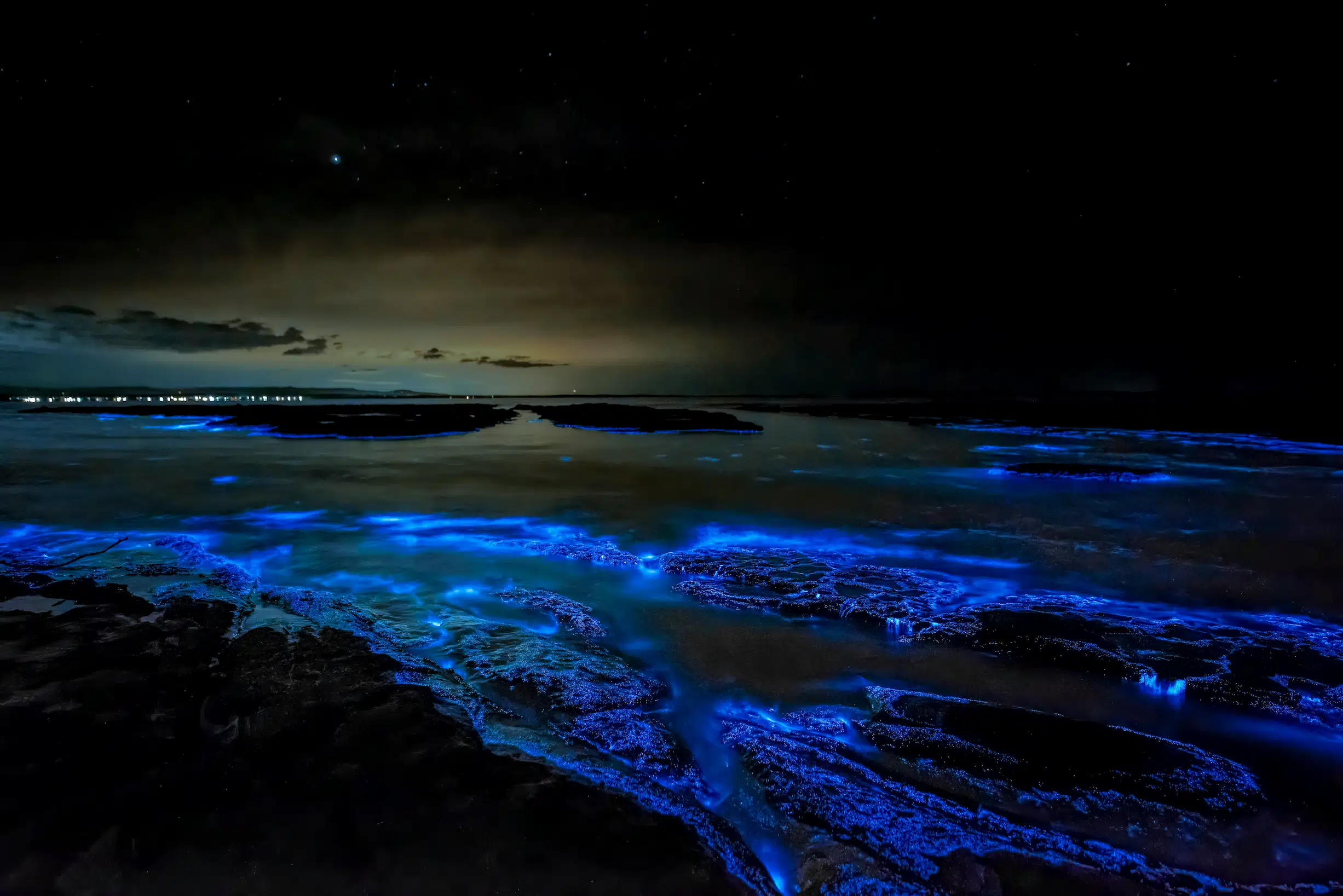 Phénomène de la bioluminescence à Holbox