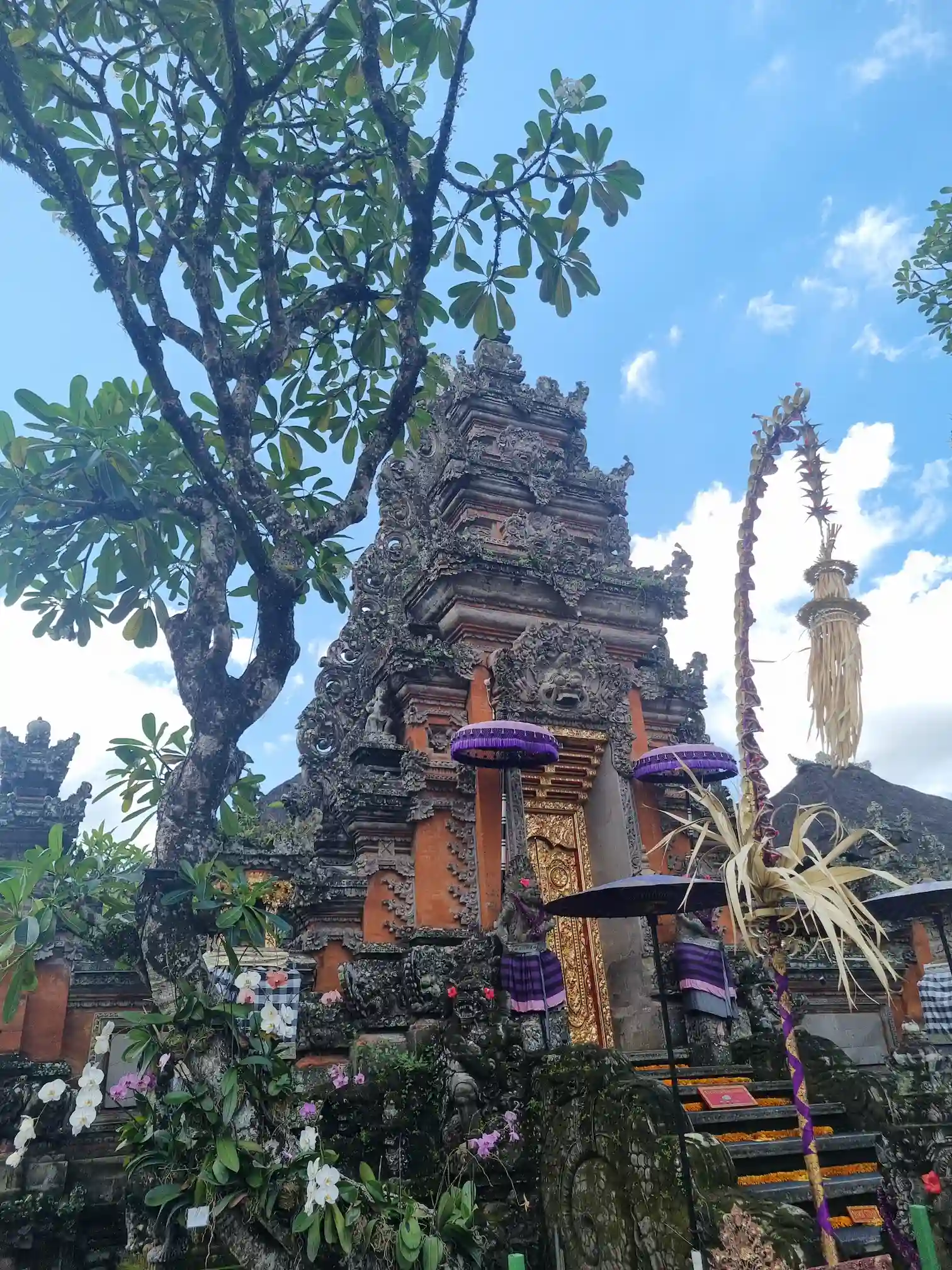 Batiment du water palace de ubud à bali, végétation 