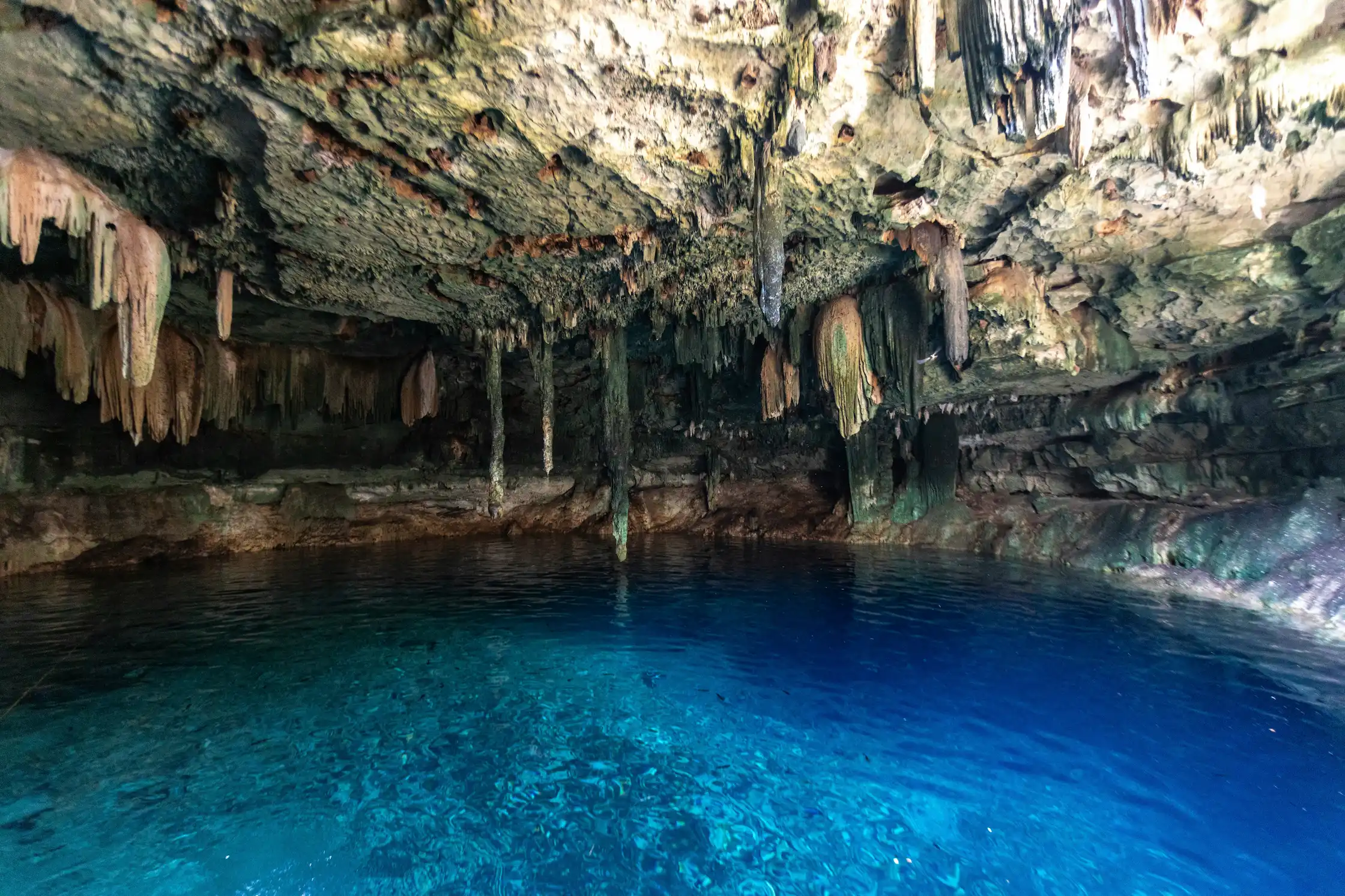 Cenotes au Mexique, eau cristalline