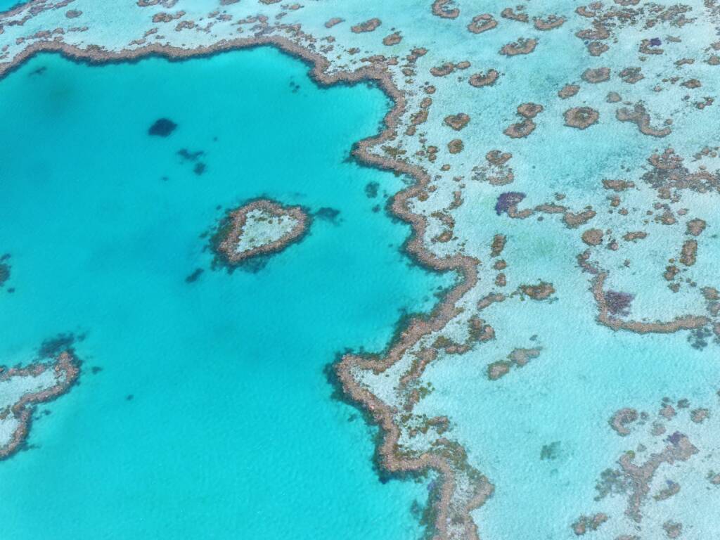 Grande barrière de corail d'Australie