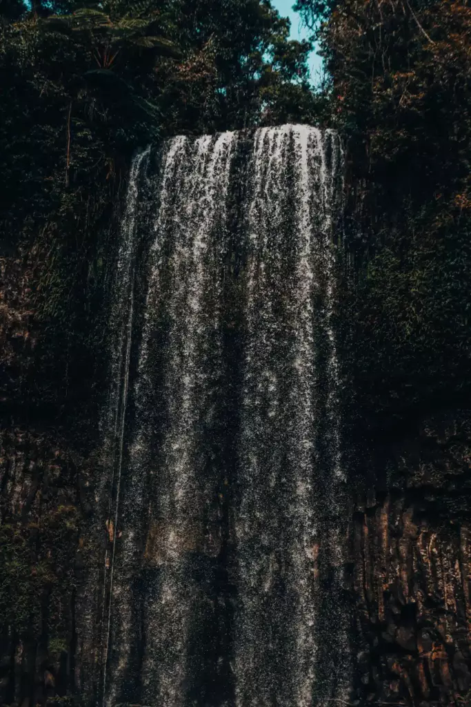 Immense Cascande de Millaa Millaa Falls à côté de Cairns en Australie