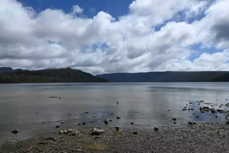 Lac St Clair en Tasmanie