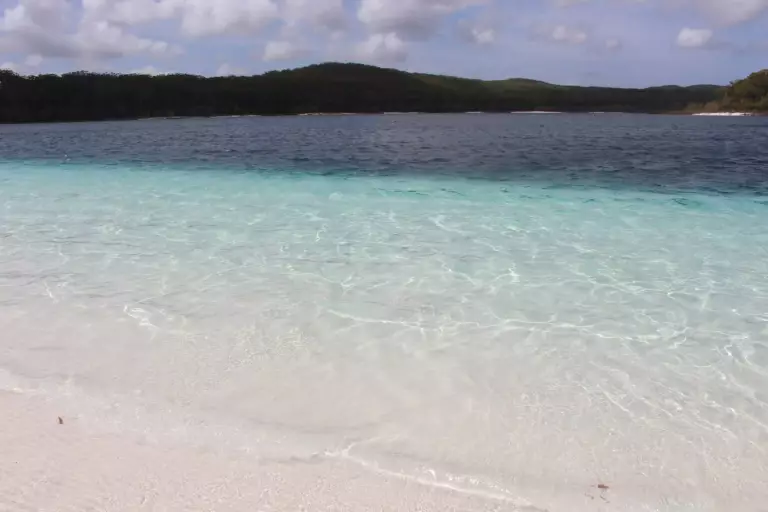 Eau transparente du Lake McKenzie sur Fraser Island - différents niveaux de couleurs