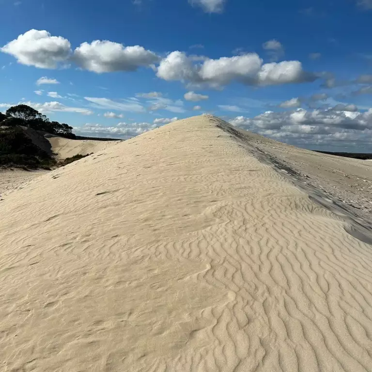 Little Sahara à Kangaroo Island