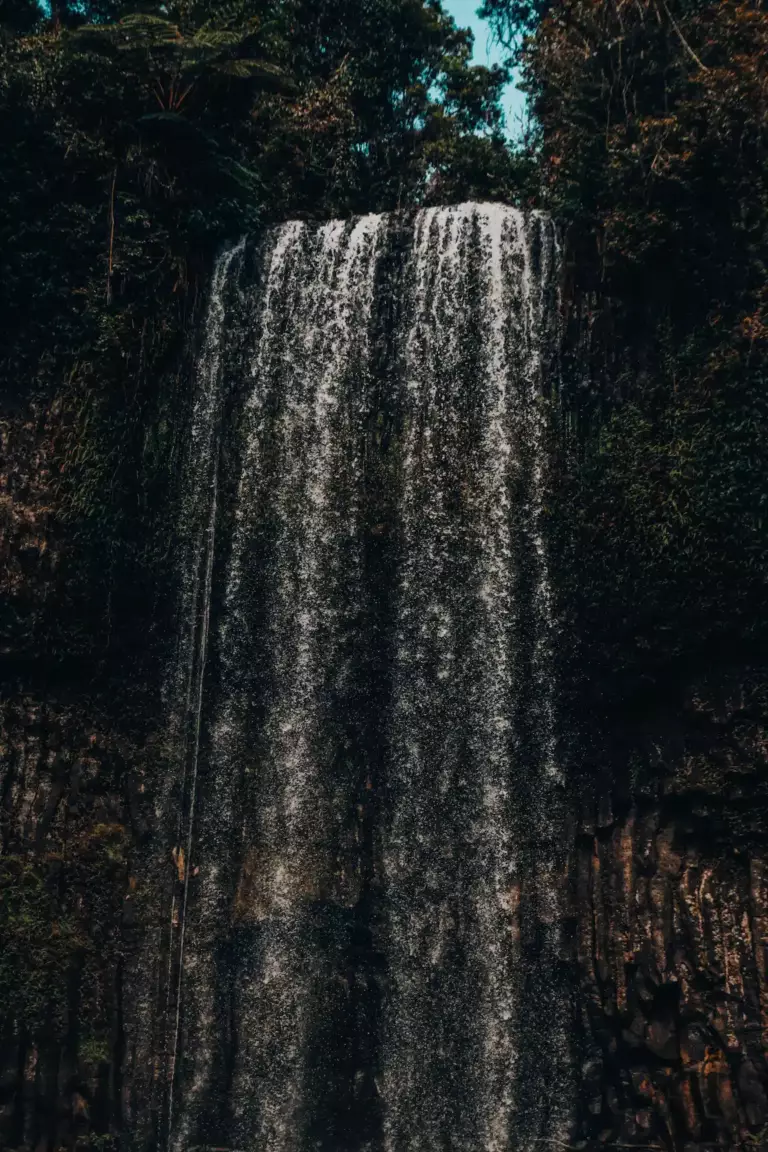 Immense Cascande de Millaa Millaa Falls à côté de Cairns en Australie