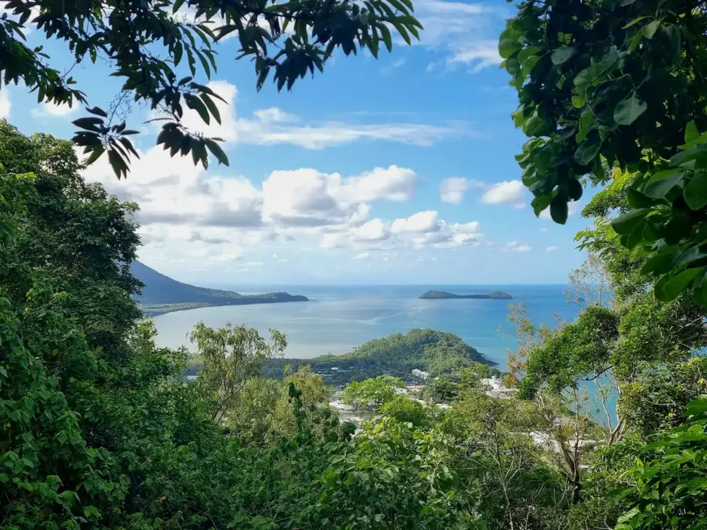 Vue sur Cairns depuis la jungle