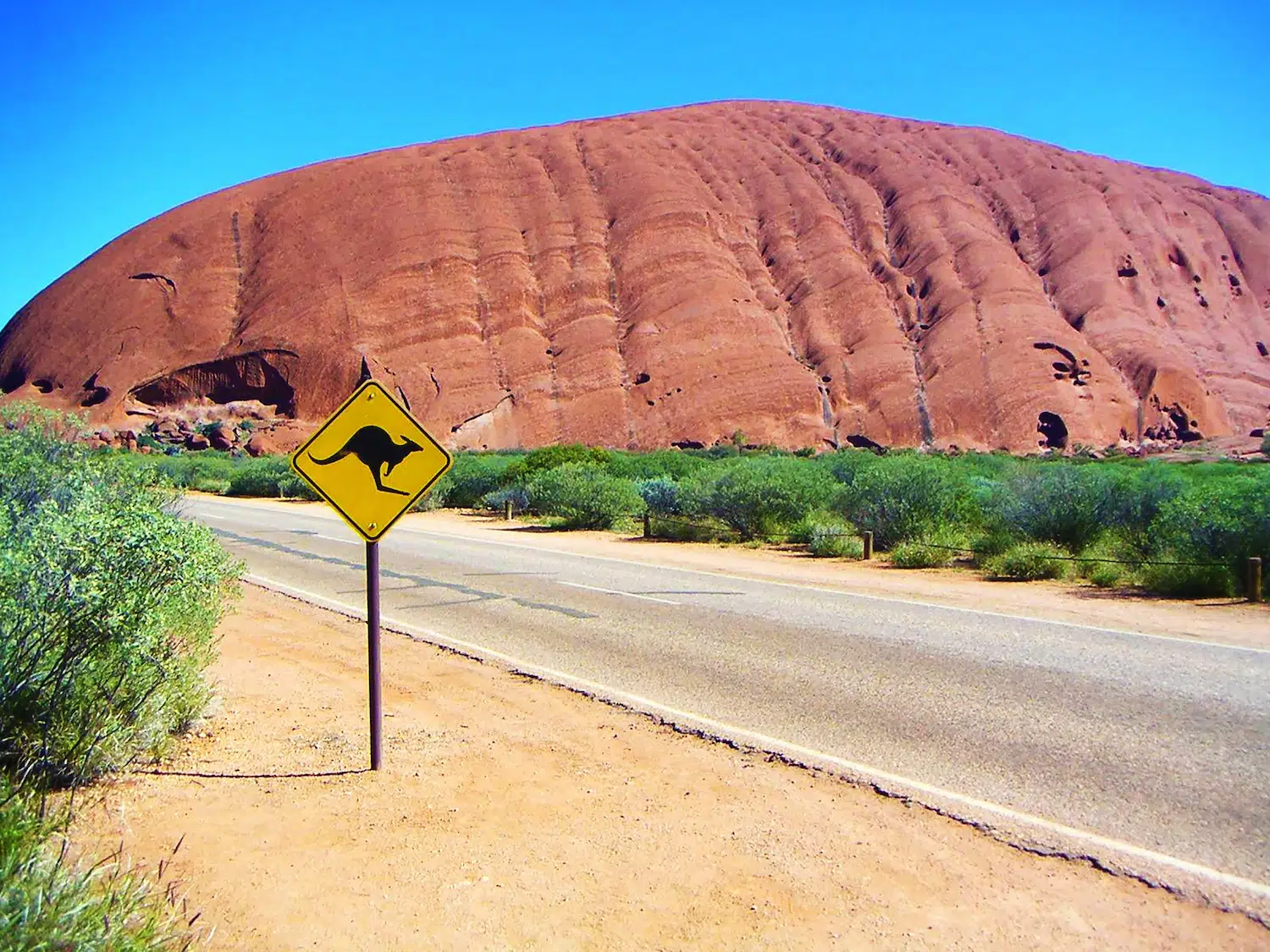 Rocher Uluru derrière un panneau jaune attention aux kangoorous 