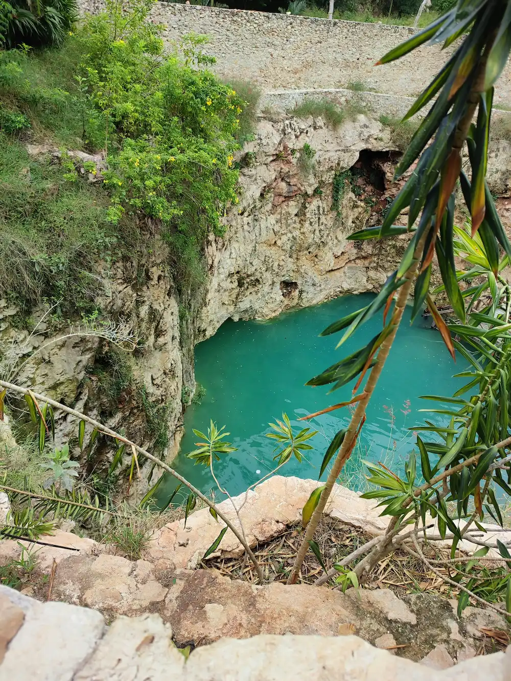 Cenote Xlacah a Merida au Mexique