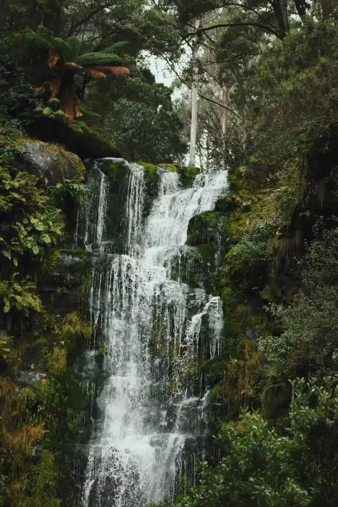Cascade d'Erskine Falls à Lorne en Australie