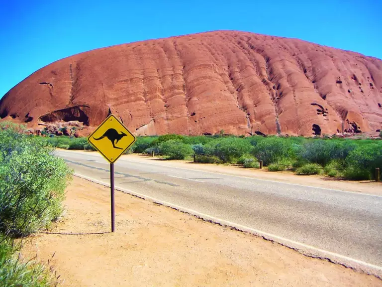 Rocher Uluru derrière un panneau jaune attention aux kangoorous