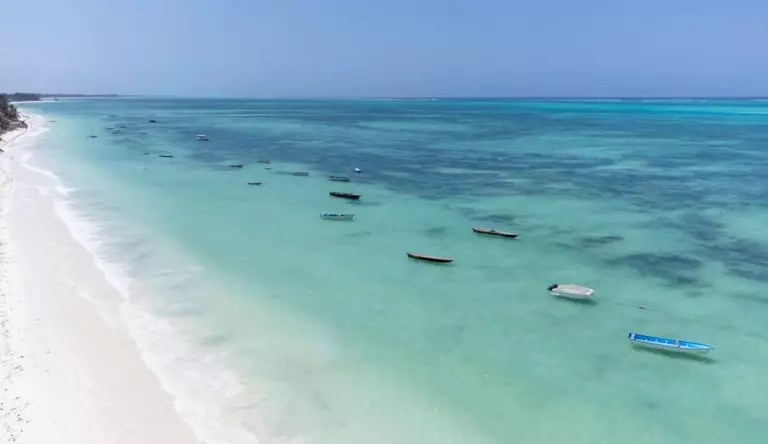 Paje & Jambiani (Zanzibar) : que faire et où aller sur la côte Est ?