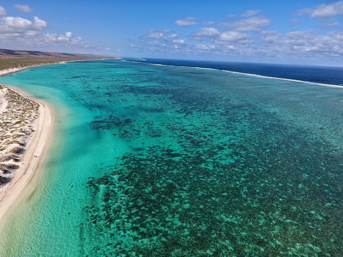 Shark Bay en Australie