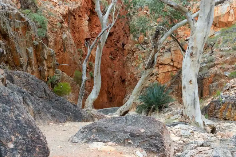Simpson Gap à Alice Springs