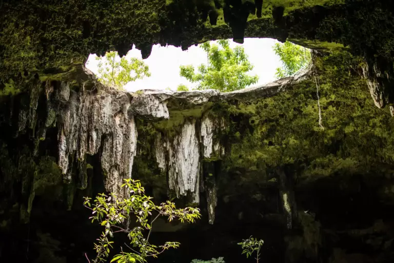 Cenote grotte au Mexique