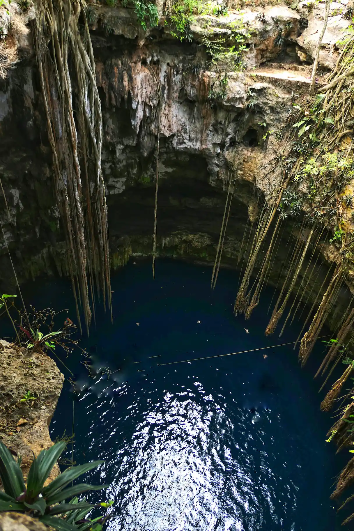 Cenote du Yucatan au Mexique
