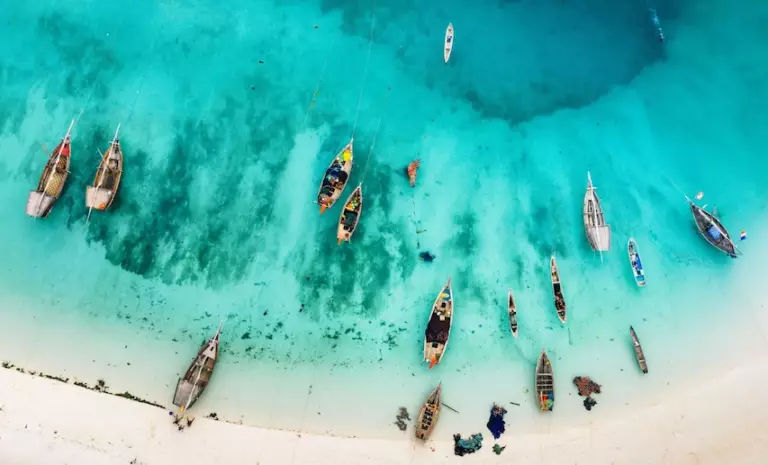 Que faire au sud de Zanzibar ? Safari Blue, dauphins et excursions