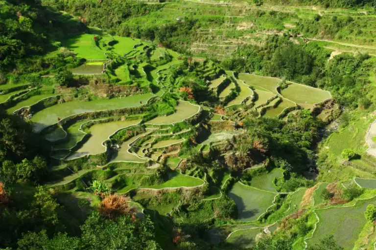 Rizières de Banaue et Batad : le trek qui vaut le détour