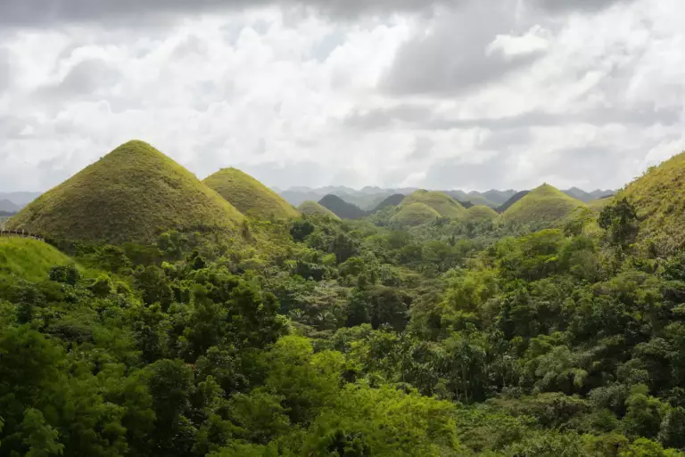 Que faire à Bohol ? Entre Chocolate Hills, tarsiers et plages