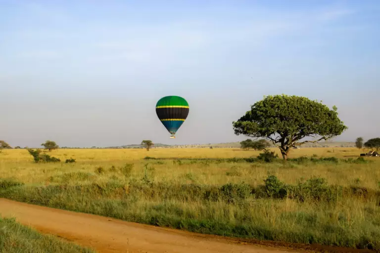 Partir en Tanzanie : tout savoir avant de partir