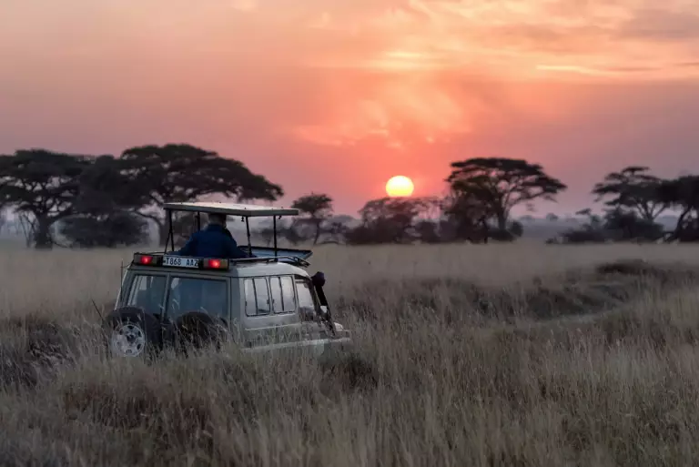 Safari en Tanzanie : combien ça coûte vraiment ? (budget détaillé)