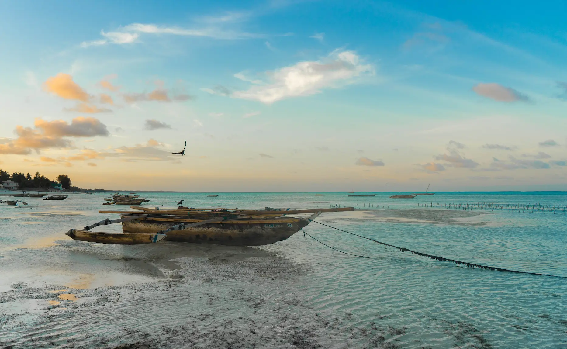 Plage de zanzibar avec un bateau sur le rivage et un oiseau s'envolant