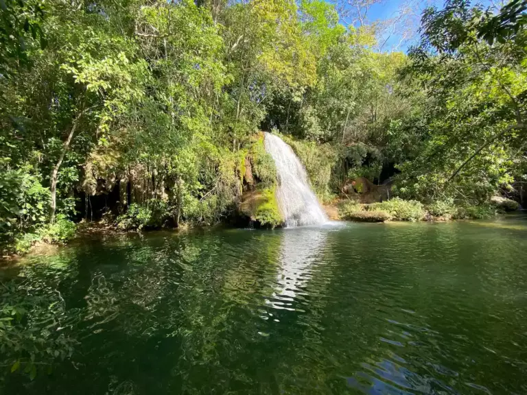 Bonito : snorkeling en eau douce et faune sauvage – guide pratique