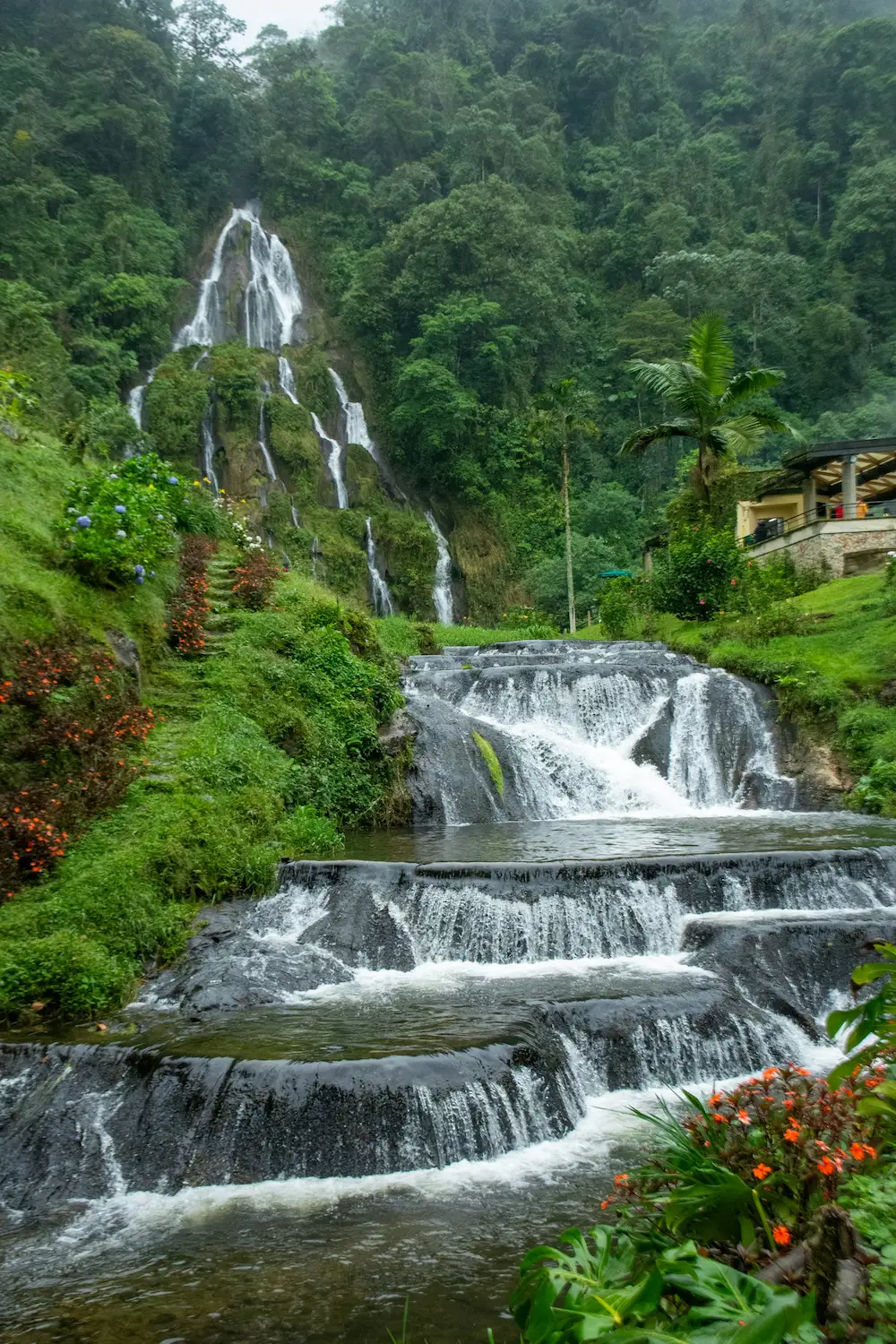 Cocora en Colombie