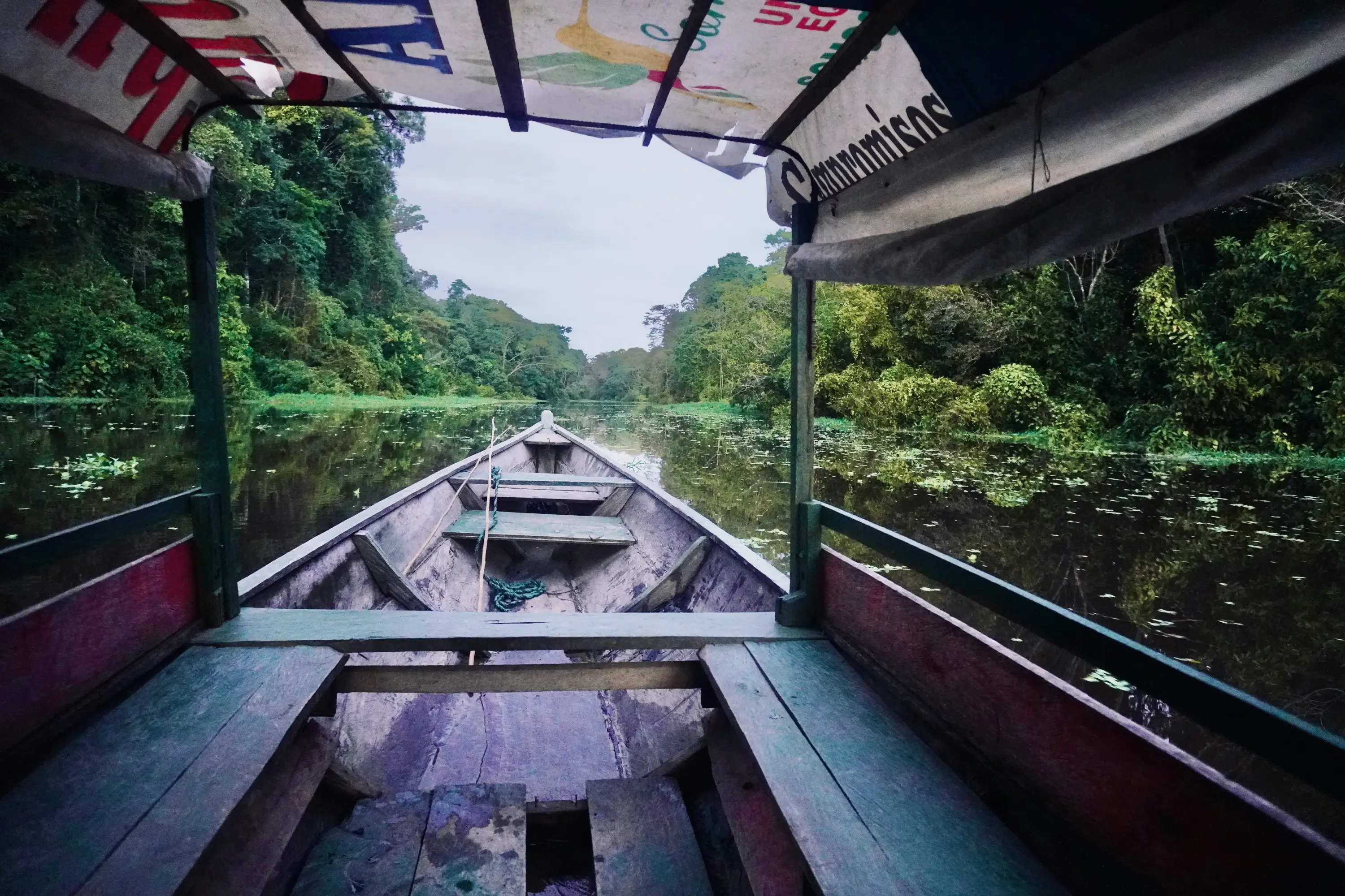 Bateau de croisière sur l'Amazonie