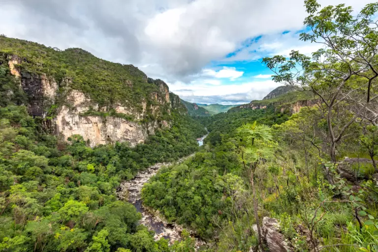 Grand Parc naturel centre brésil chapada