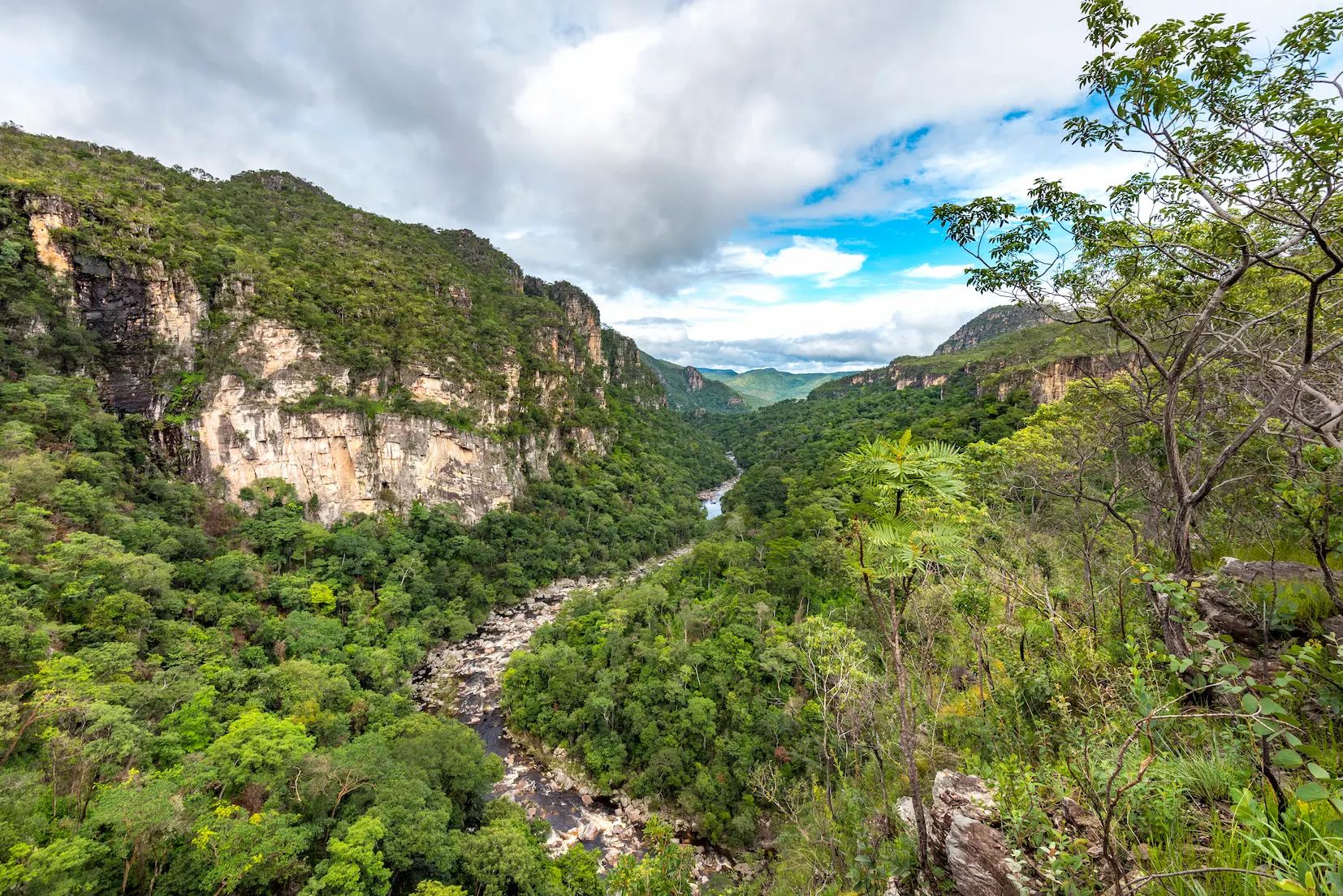 Grand Parc naturel centre brésil chapada