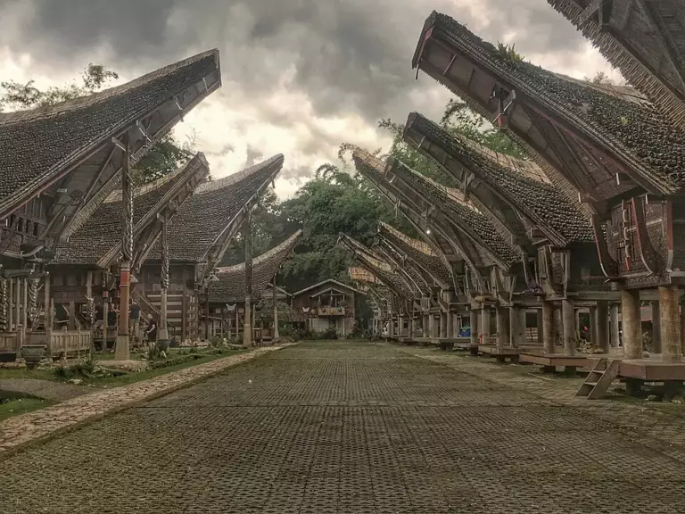 Maison tongkonan indonésie